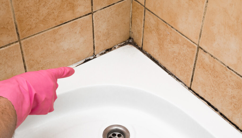 How to Prevent Bathroom Mold